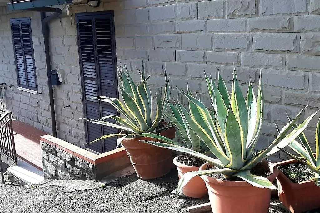 Apartment Appartamento Otello Con Parcheggio San Gimignano